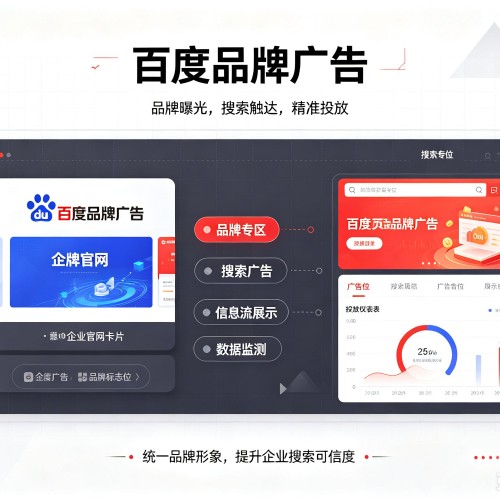 龙文百度品牌广告